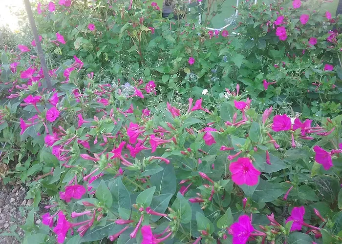 La Valentina, Climatise * Cubjac