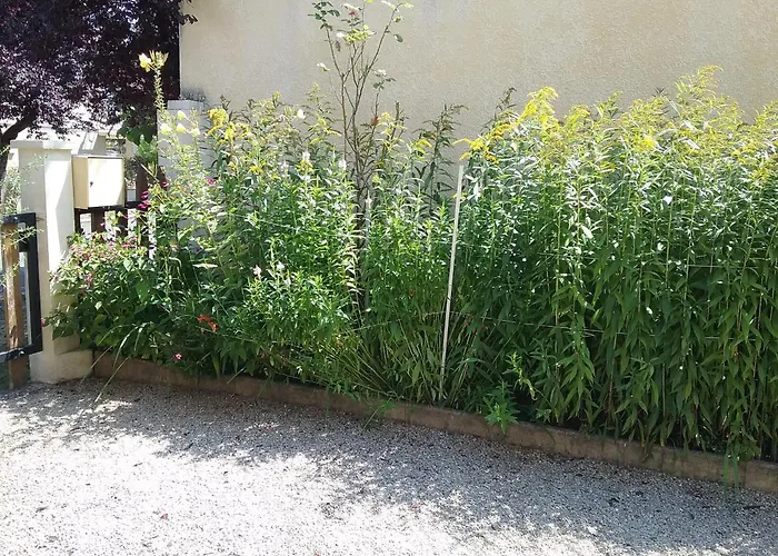 La Valentina, Climatise *